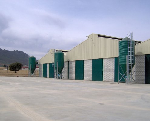 Alanser